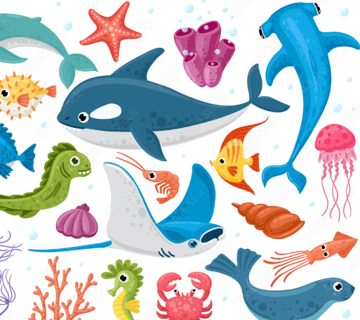 vocabulario animales marinos en ingles